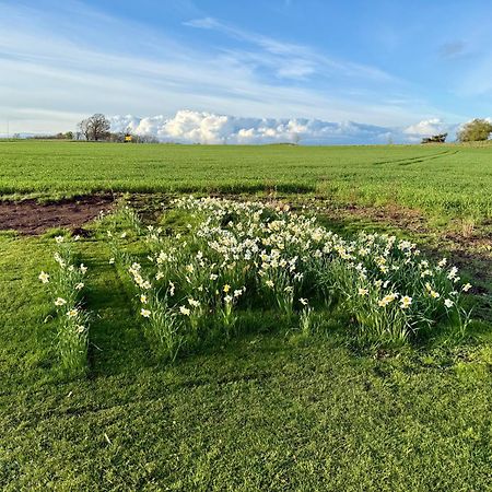 Stora Loenn Villa Falkenberg Bagian luar foto